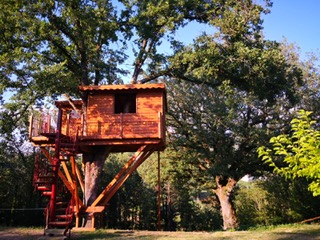 CASA SULL'ALBERO TENUTA BOCCHINERI